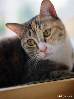 葬礼上的死亡_葬礼上的死亡黑人版