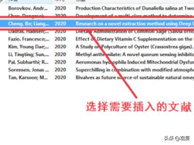 Stylesstyles的中文翻译