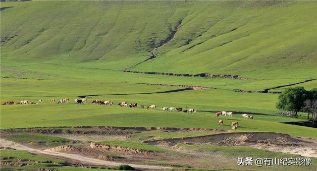 秋天旅游草原穿搭， 秋天旅游草原穿搭图片
