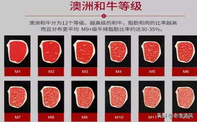 和牛的等级判定,第7张
