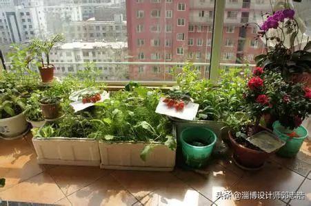 西瓜种植花园效果图,西瓜种植花园效果图大全