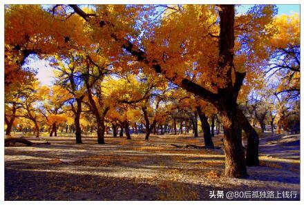 夏季旅游最佳去处国内凉快美食,夏季旅游最佳去处国内凉快美食的地方