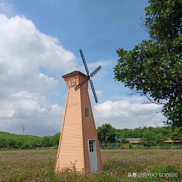 过年广州市有什么农庄