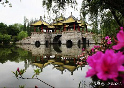 清漾景点门票价格查询， 清漾景点门票价格查询表