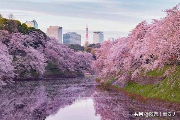 怎样申请去日本留学