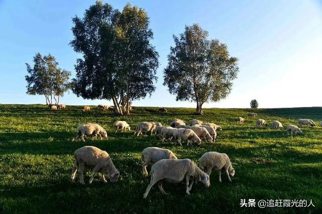 内蒙东北自驾游路线，内蒙东北自驾游路线图