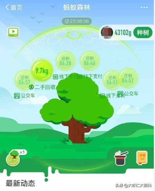 [蚂蚁森林最快攻略]蚂蚁森林怎么快速加好友？