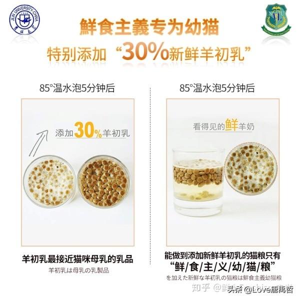 如果不喂猫粮，可以给猫猫做点什么吃