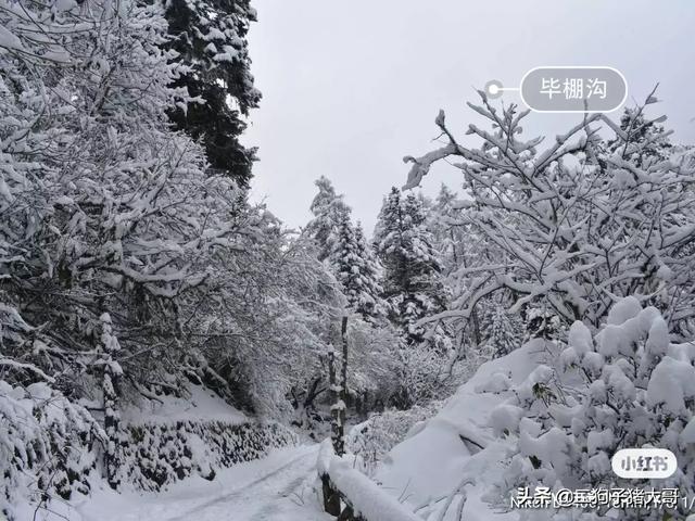 毕棚沟住宿-毕棚沟住宿推荐