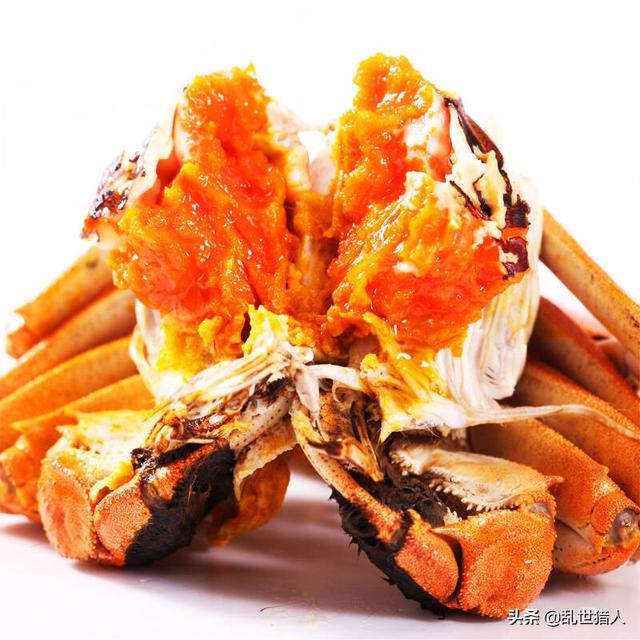 苏州市什么行业最好赚钱