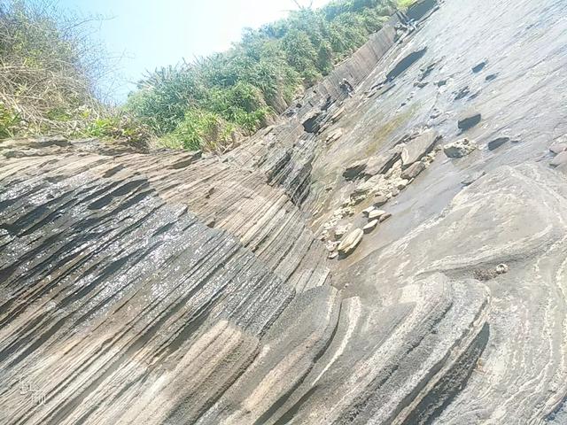 云南丽江市玉龙纳西族自治县赏花民宿包吃住推荐有哪些,丽江玉龙纳西族自治县名胜古迹