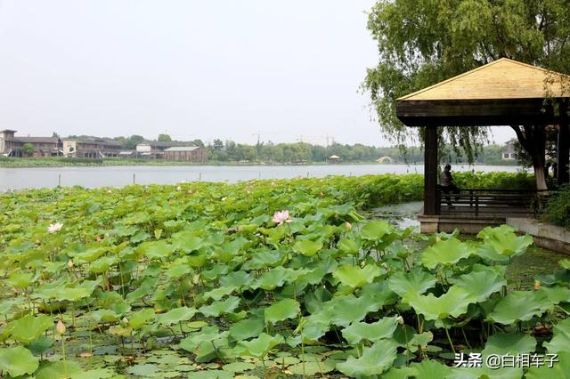 阳澄湖老年旅游攻略路线， 阳澄湖老年旅游攻略路线图