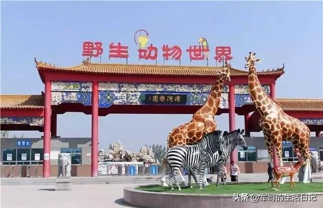 女人带娃有什么好处呢(图22)