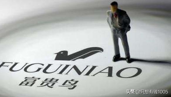 富贵鸟是几线牌子