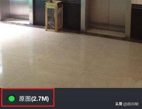 原图是什么意思（电子版原图是什么意思？）