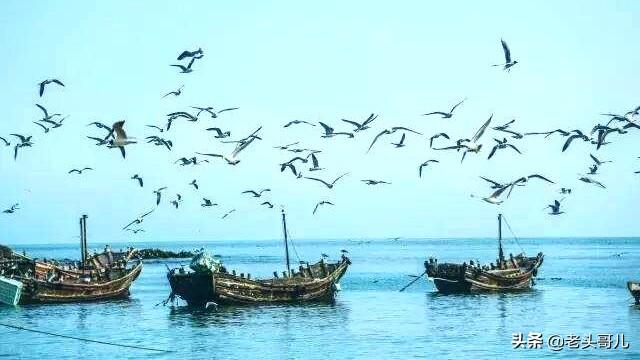 夏天自驾游海滩路线，夏天自驾游海滩路线图