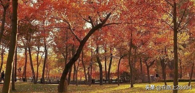江苏旅游穿搭秋天， 江苏旅游穿搭秋天图片