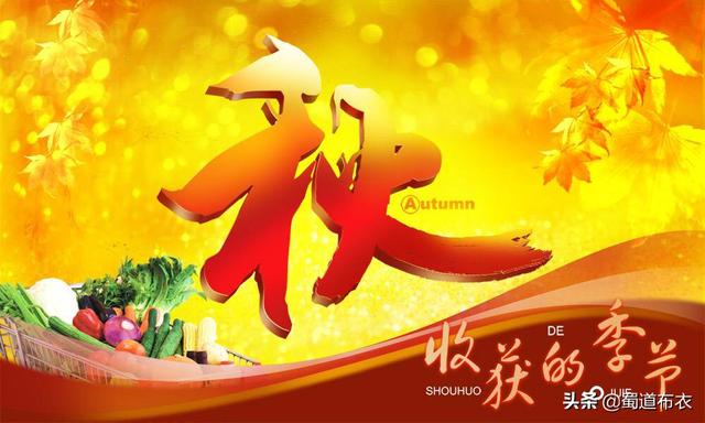 學習開寵物店?開寵物店要學什么!