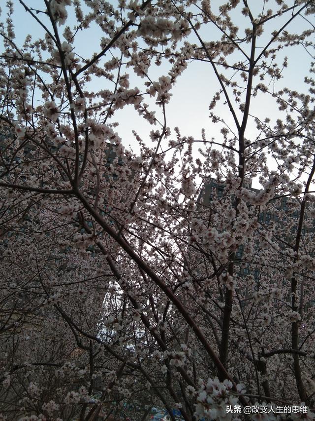 宁波市口岸协会怎么样