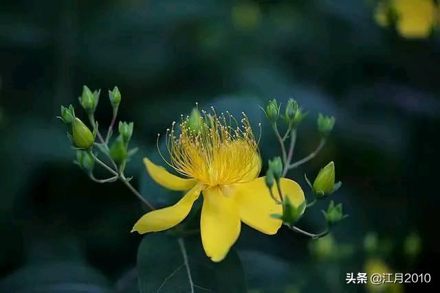 女人最大的财富是什么(图5)
