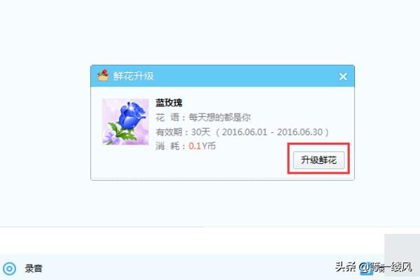 YY刷鲜花怎么保养(图2)