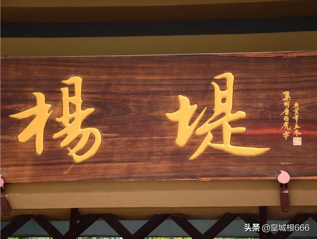 唐伯虎自驾游最佳路线，唐伯虎自驾游今天视频