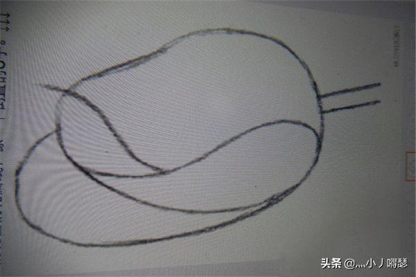 国画花卉素描稿图片? 国画花卉素描稿图片大全!