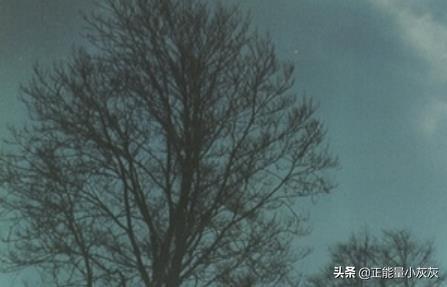 凉风有信 秋月无边_凉风有信秋月无边是哪个电视剧的台词