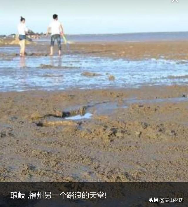 汕头市南澳县纸飞机账号购买