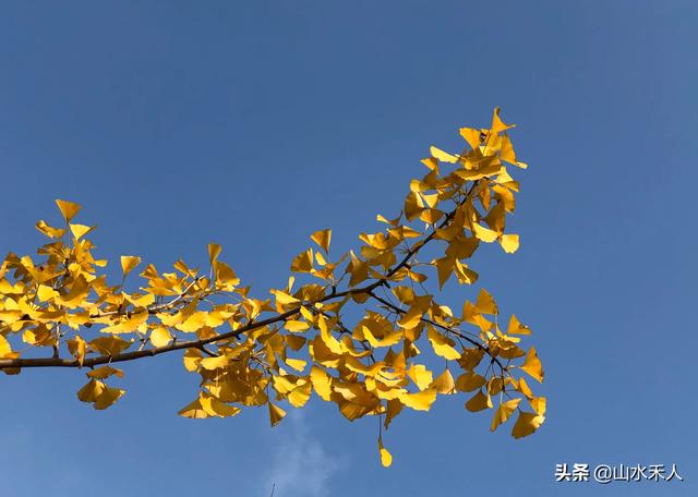 摄影穿着与背景如何搭配(图13)