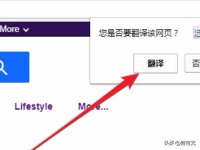 翻译google-翻译google下载