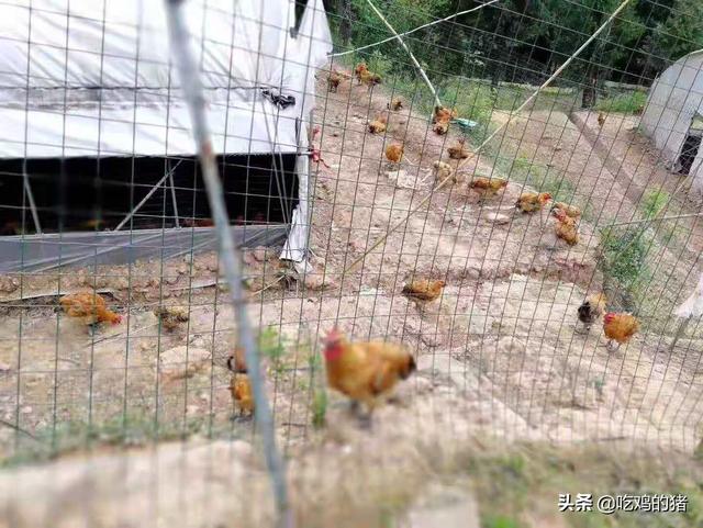 18万现金烧毁