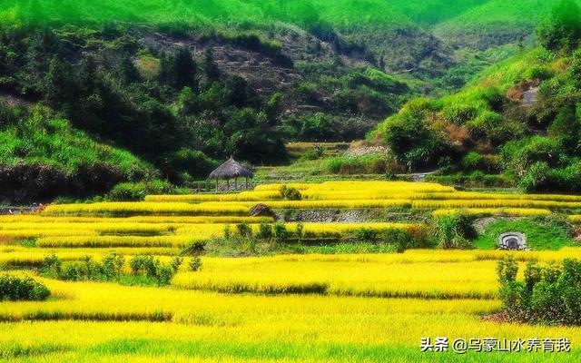 单身女性学什么手艺好做(图2)