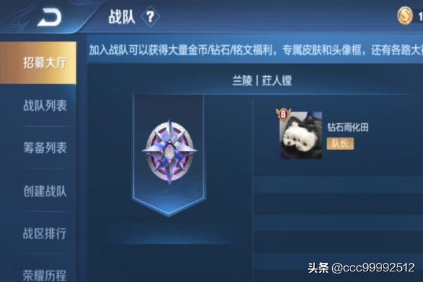 cd战队密码忘了怎么办 cd战队-第1张图片-随然AIR主题