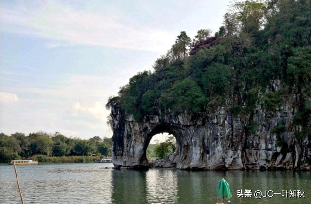 海外生活牛肝菌，国外有牛肝菌吗