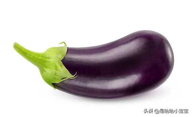 茄子的拼音（茄的拼音）