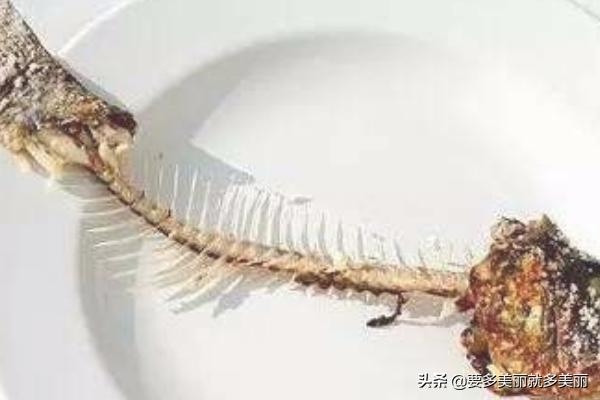 猫吃哪些食品会怎么样(图2)