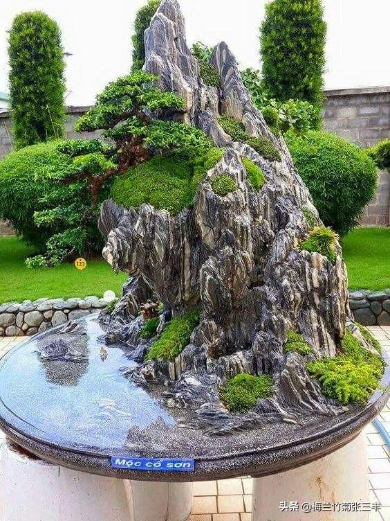 三角枫有几个品种（三角枫有几个品种名称）