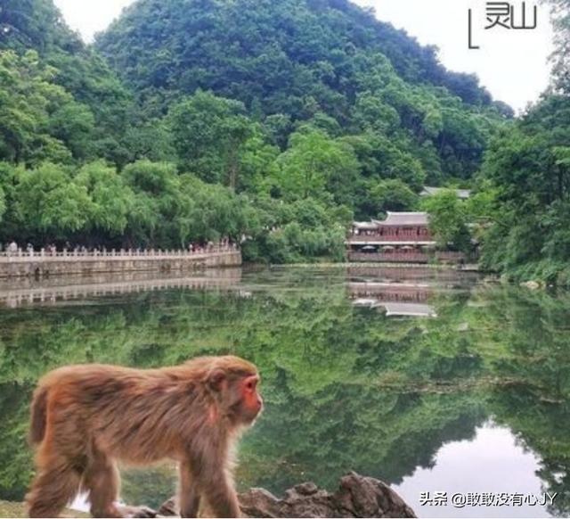 贵阳地道旅游攻略路线， 贵阳地道旅游攻略路线图