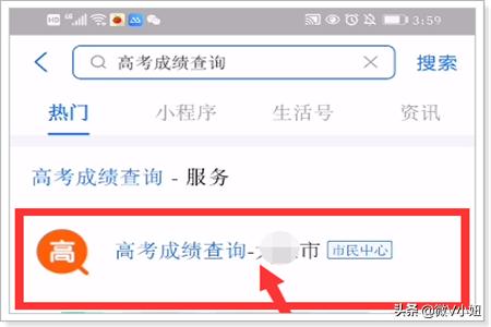 大学生高考成绩怎么查询，大学生高考成绩怎么查询的