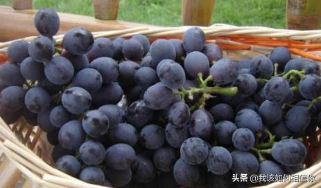 超市买的冷冻水果有哪些(图4)