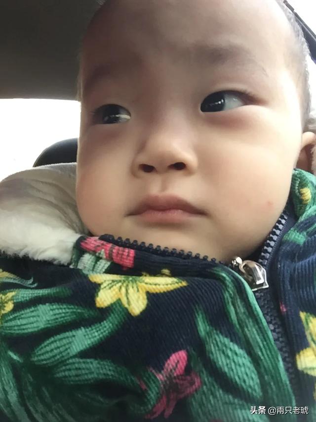 宝宝肠绞痛是怎么回事(图7)