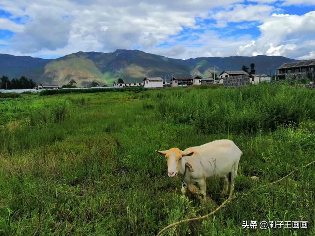 有哪些值得一看的免费景点