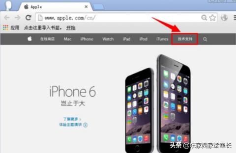 如何查看苹果手机系统型号