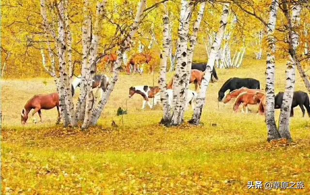 榆林市靖边县纸飞机账号购买服务