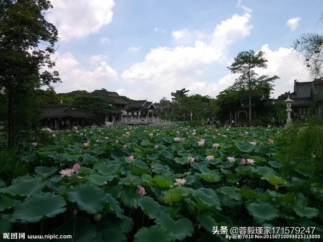 新都桥婚纱摄影，新都桥婚纱摄影工作室