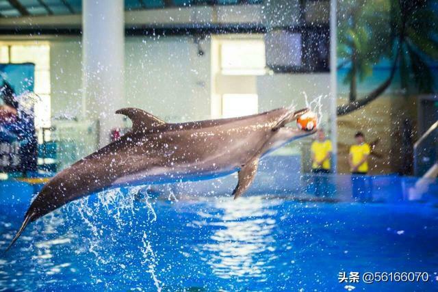 合肥什么地方最适合带小孩玩？