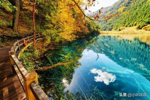 四川九寨沟资料(九寨沟湖泊的资料？)
