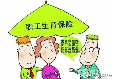 海外生活番外篇小说在线阅读，海外生活番外篇小说在线阅读全文