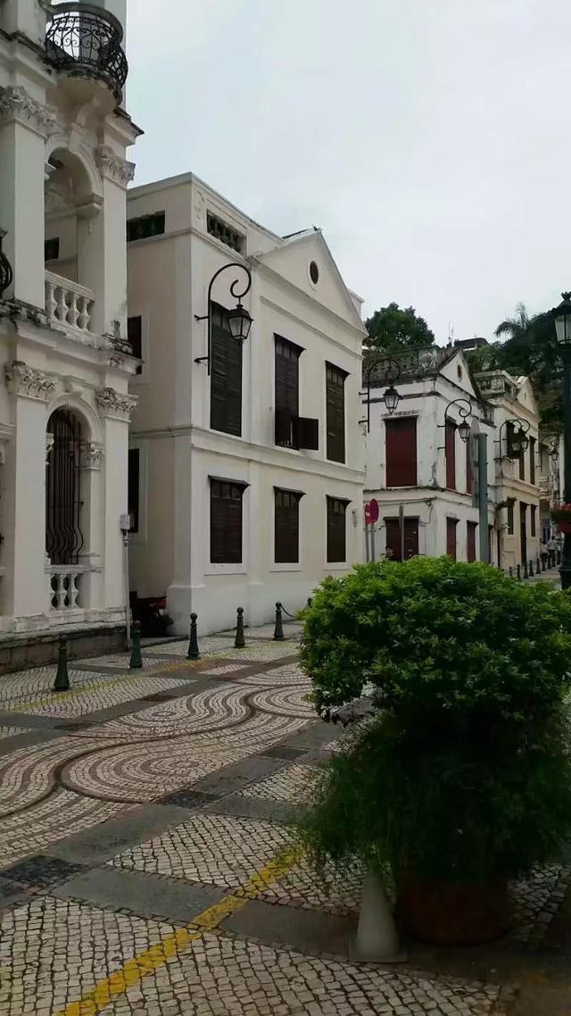 葡京之城税收培训：珠海市国家税务局为企业解忧，税务葡萄